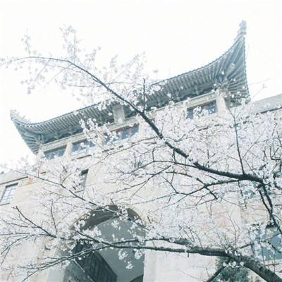上海市政府参事室与上海市信访办签订合作备忘录并揭牌成立王剑华参事工作室